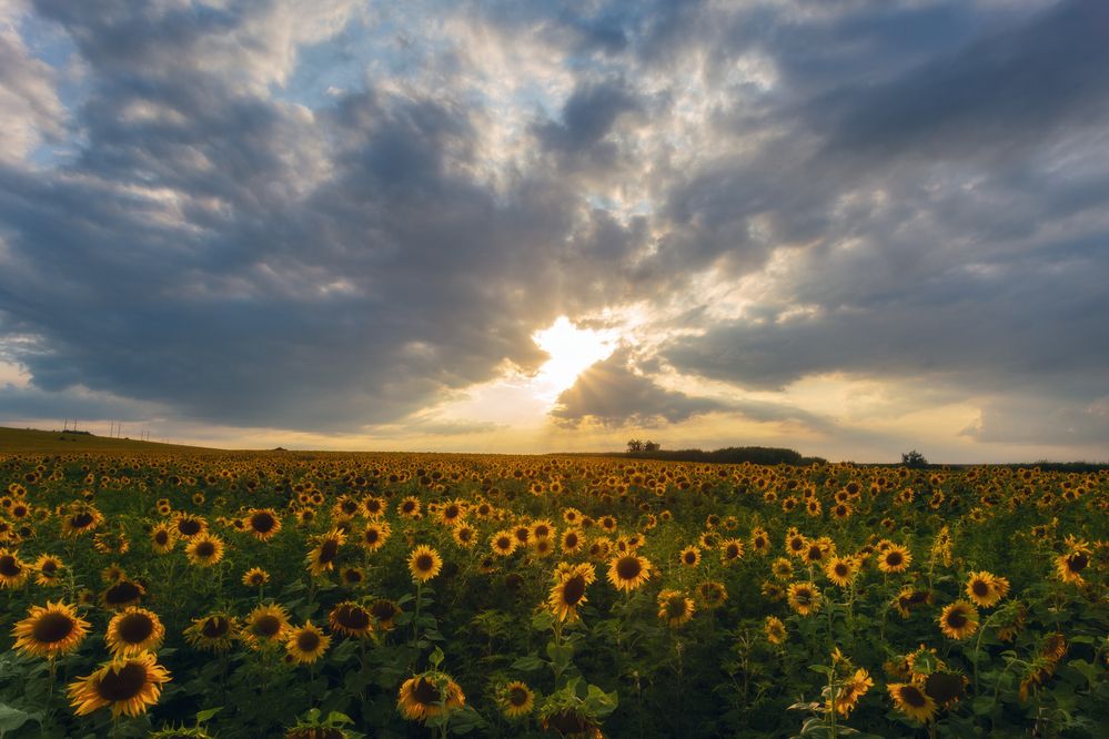 Photograph by Юлия Мальцева