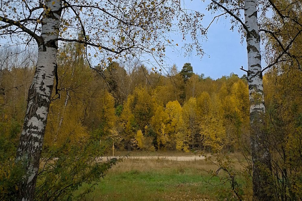 Photograph by Ксения Мельникова