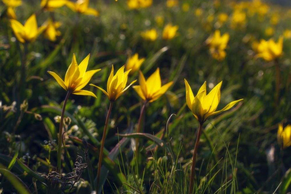 Photograph by Юлия Мальцева
