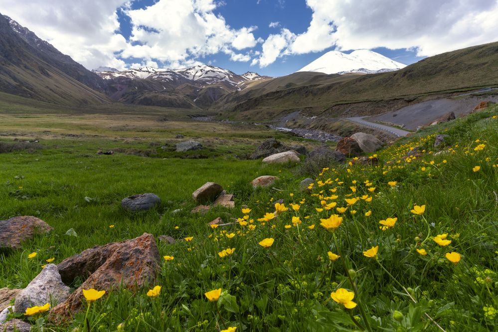 Photograph by Юлия Мальцева