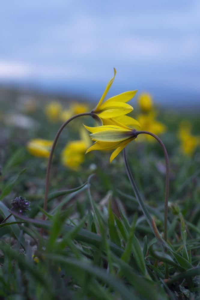 Photograph by Юлия Мальцева