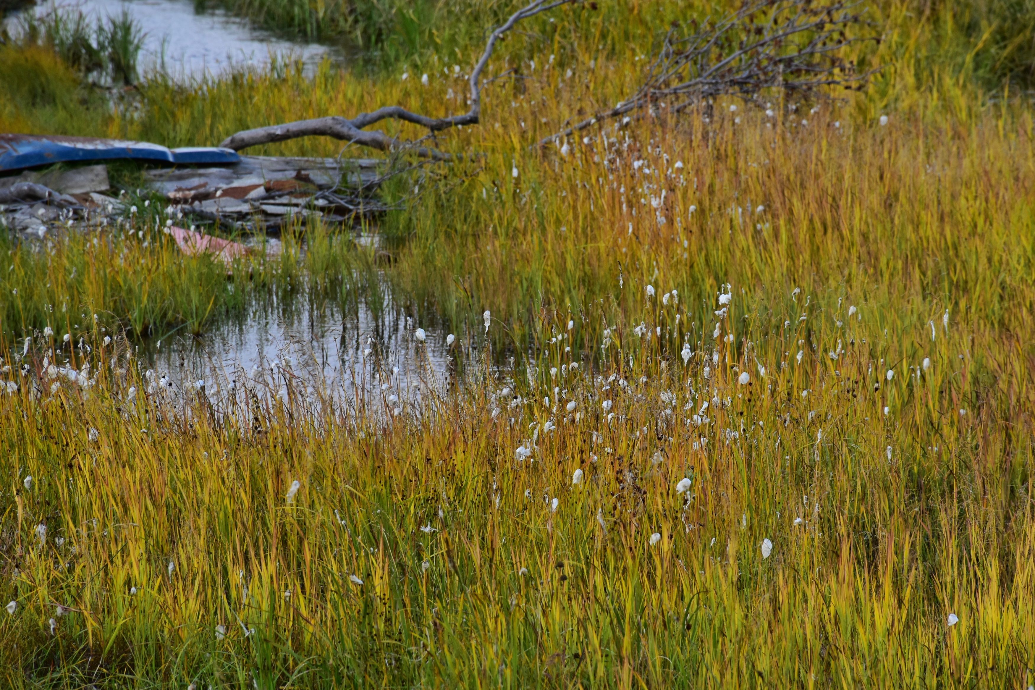 Photograph by Нина Кольман