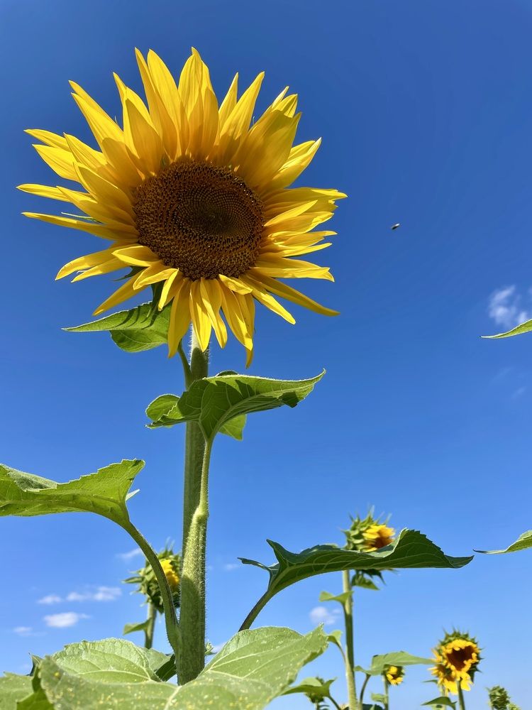 Photograph by Евгения Володина