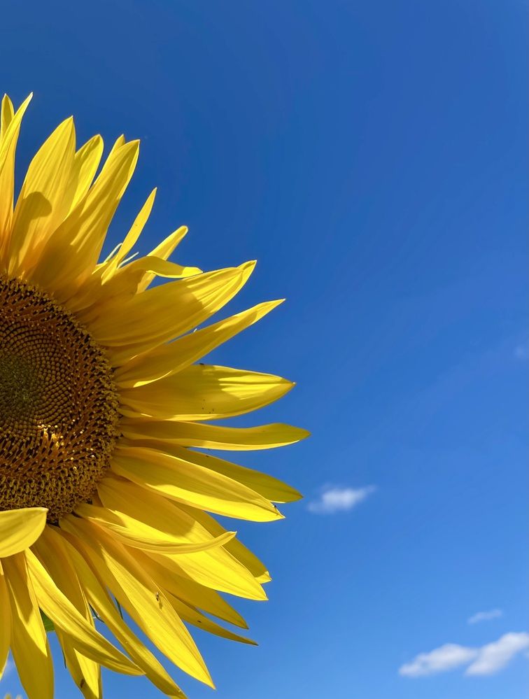 Photograph by Евгения Володина