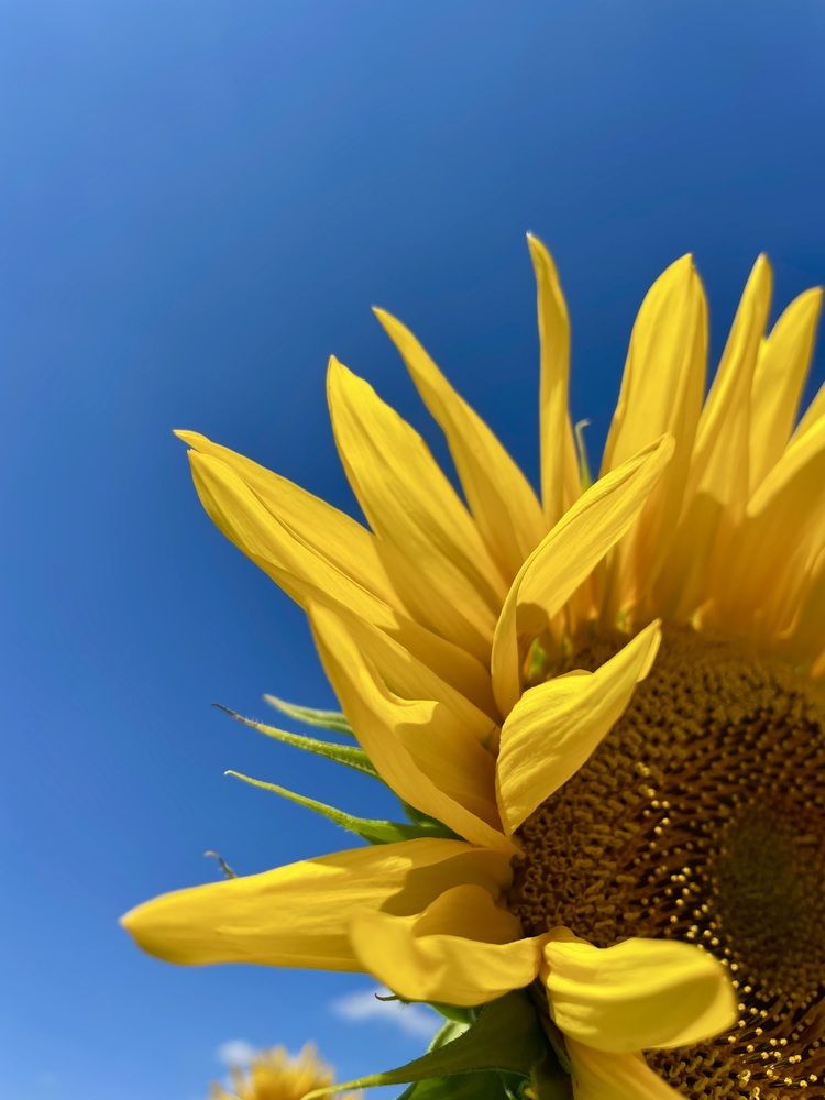 Photograph by Евгения Володина