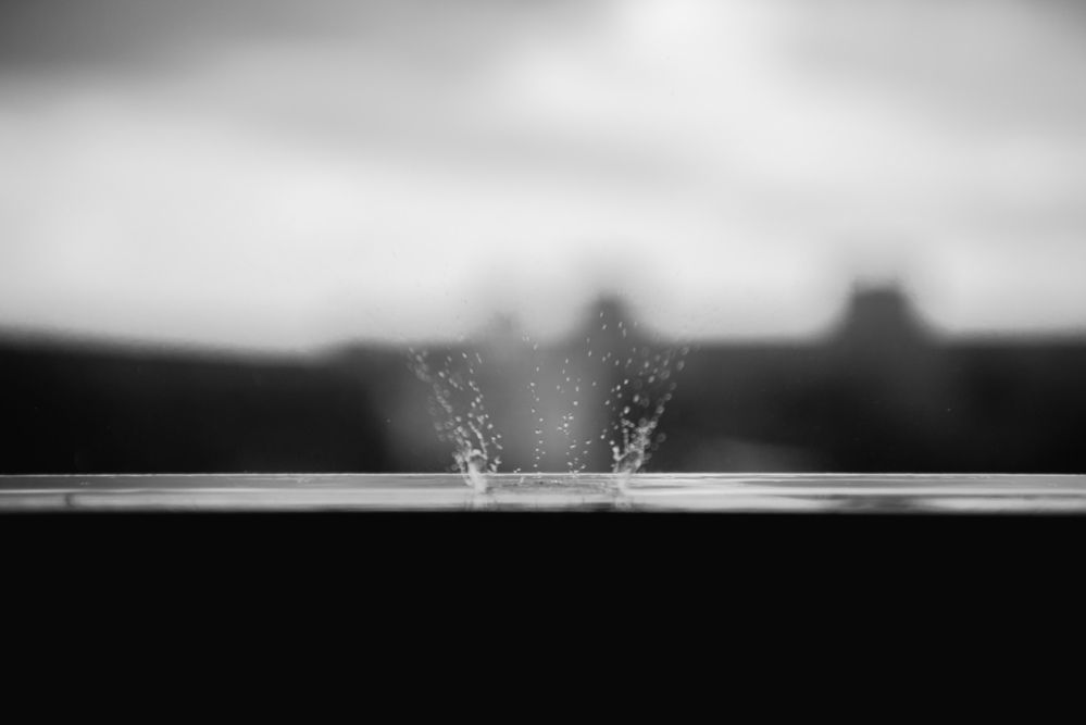 Photograph by Елена Владимировна