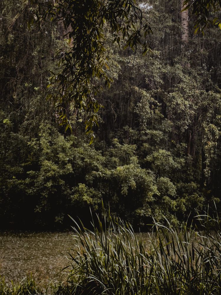 Photograph by Виктория Казакова