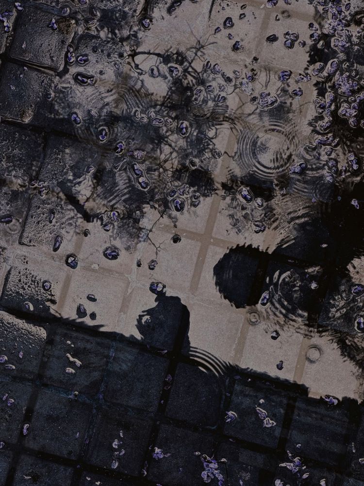 Photograph by Алёна Яцкевич