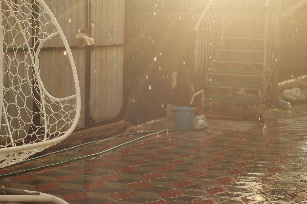 Photograph by Светлана Зотова