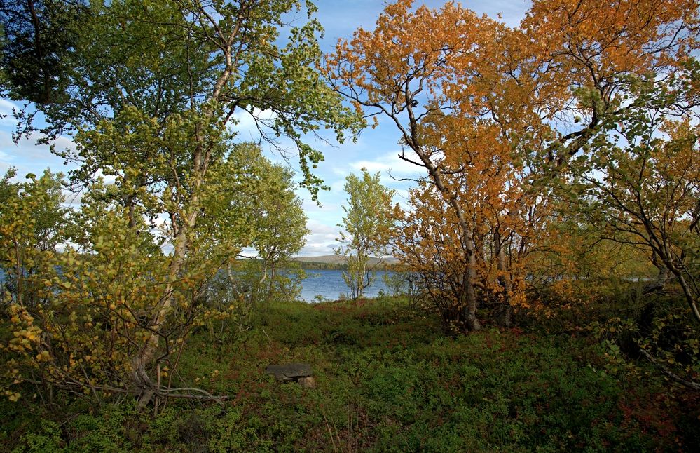 Photograph by Борис Чернов