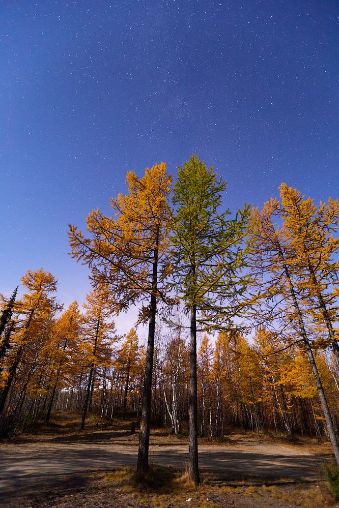 Photograph by Надежда Соболевская