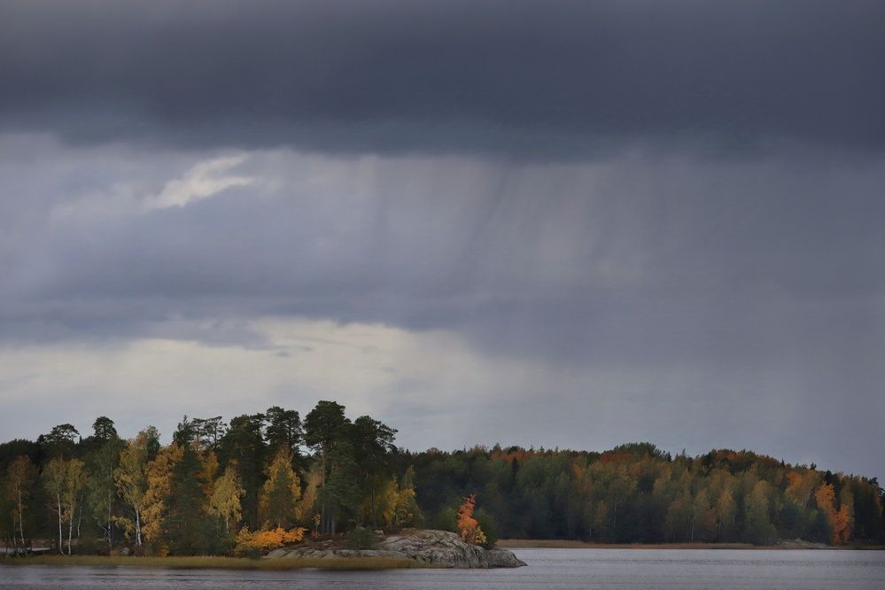 Фотография автора Елена Кириллова