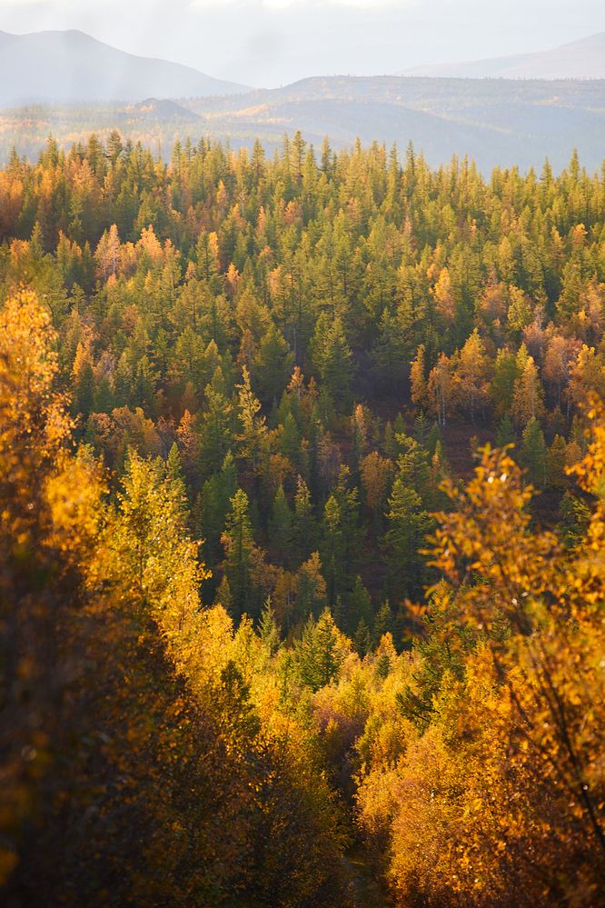 Photograph by Надежда Соболевская