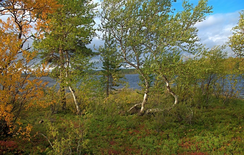 Photograph by Борис Чернов