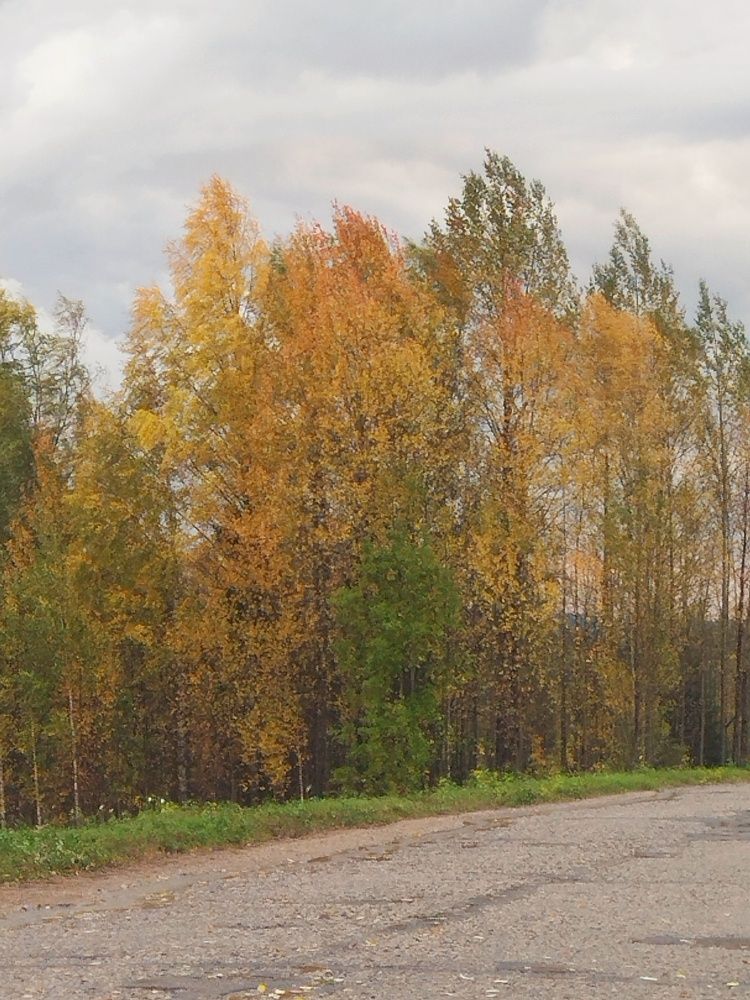 Photograph by Яна Сальникова
