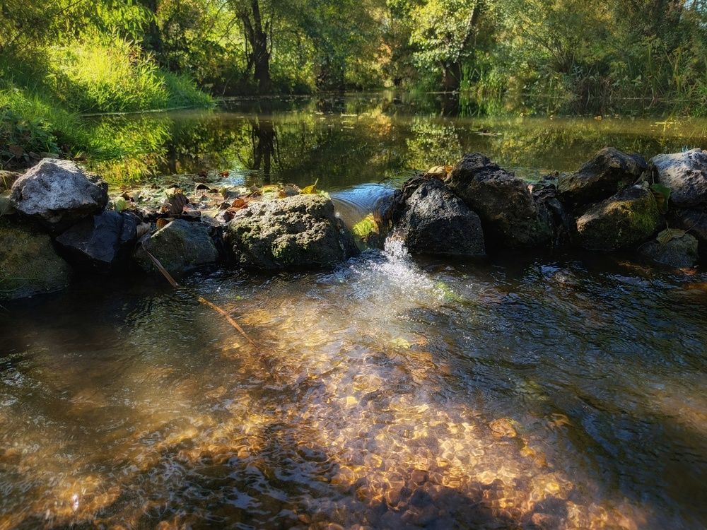 Photograph by Кондрашова Светлана