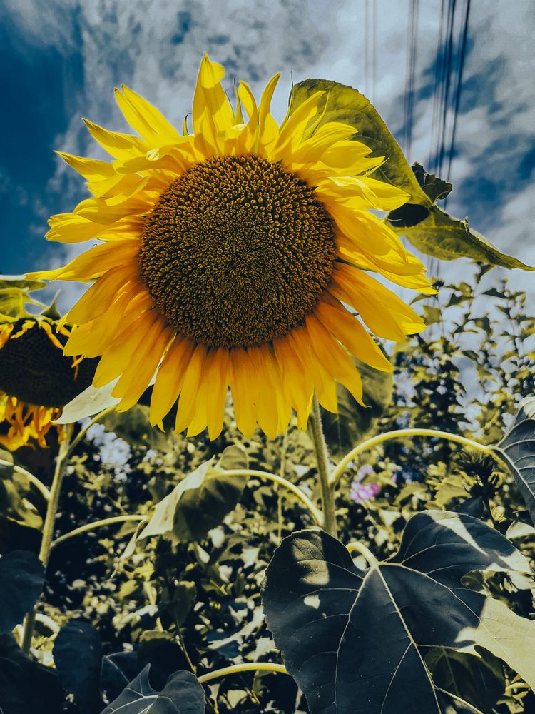 Photograph by Алексей Гуминский