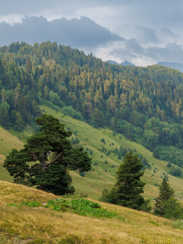 Photograph by Igor Maksimenko