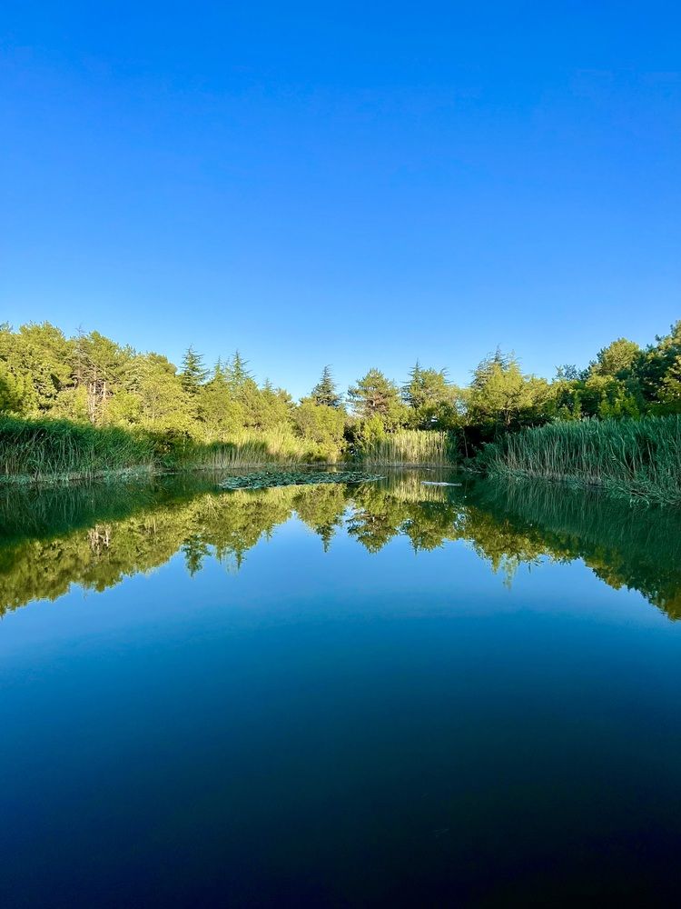 Photograph by Евгения Володина