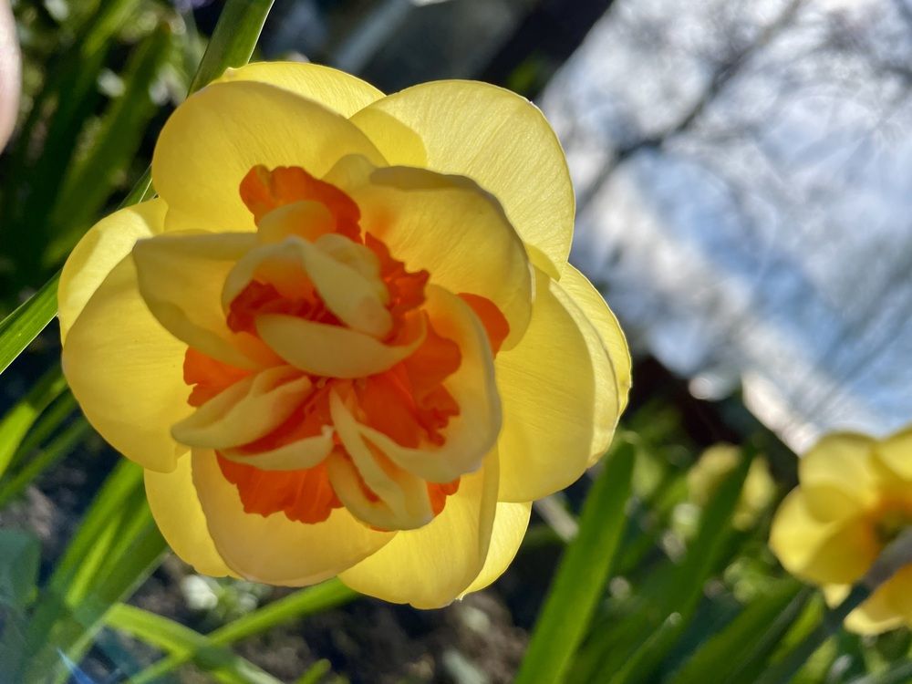 Photograph by Евгения Володина