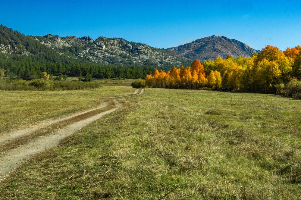 Фотография автора Андрей Жданов