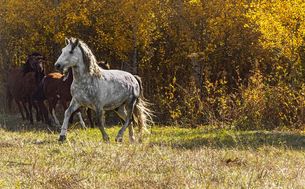 Фотография автора Андрей Жданов