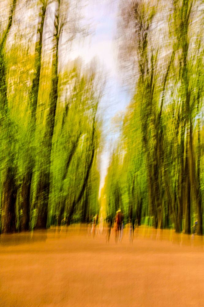 Photograph by Anastasia Kosenkova