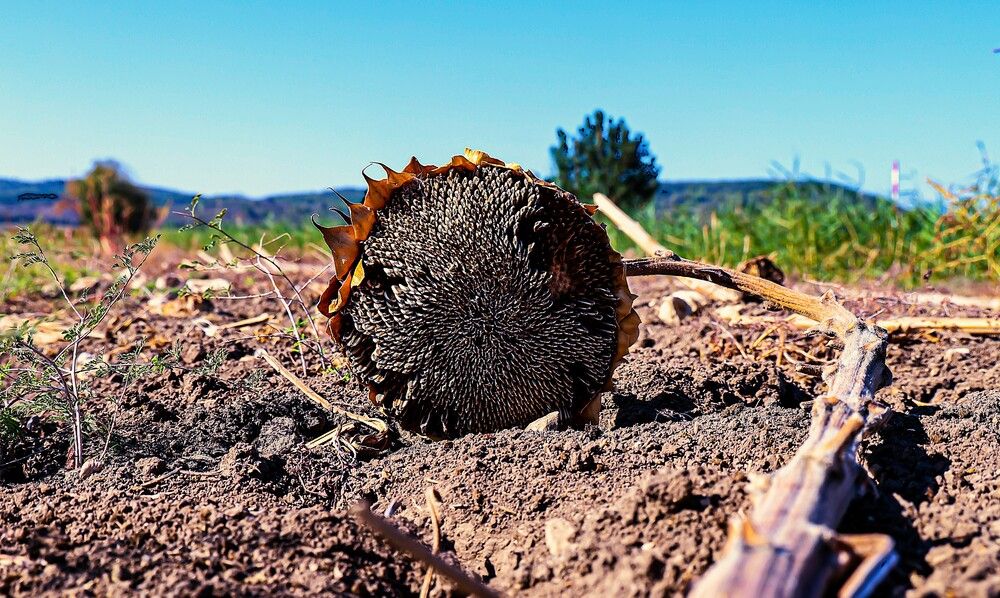 Photograph by Дмитрий Куркулин