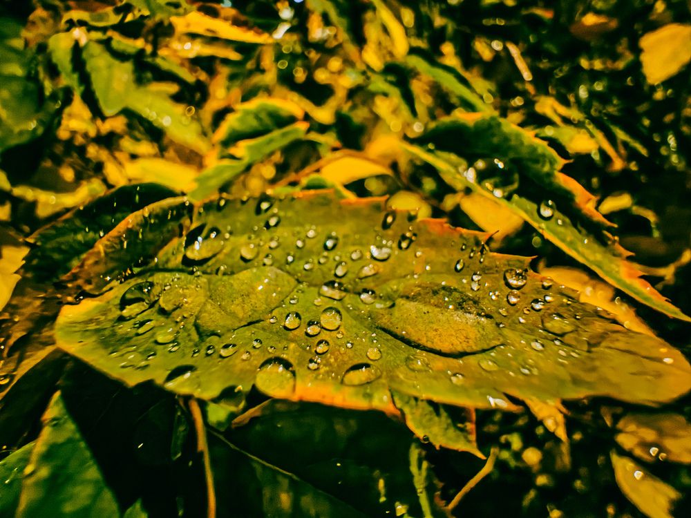 Фотография автора Марина Рябуха