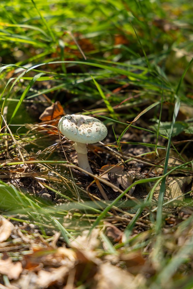 Фотография автора Светлана Поливанова