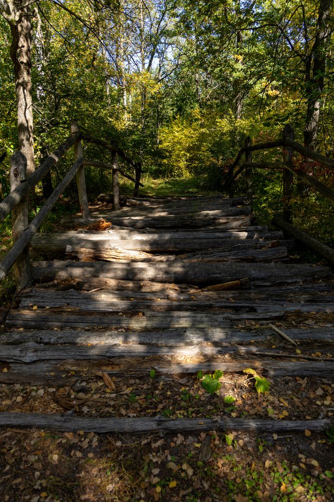 Фотография автора Светлана Поливанова