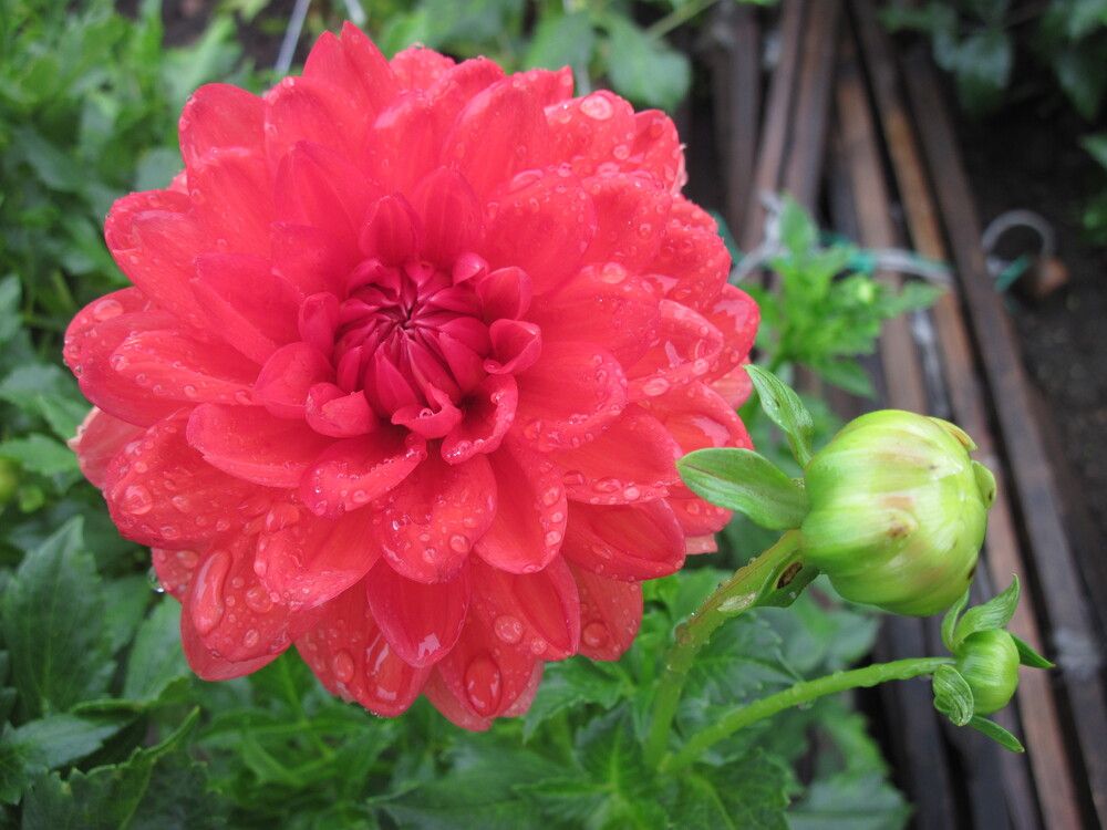 Фотография автора Георгий Самусевич