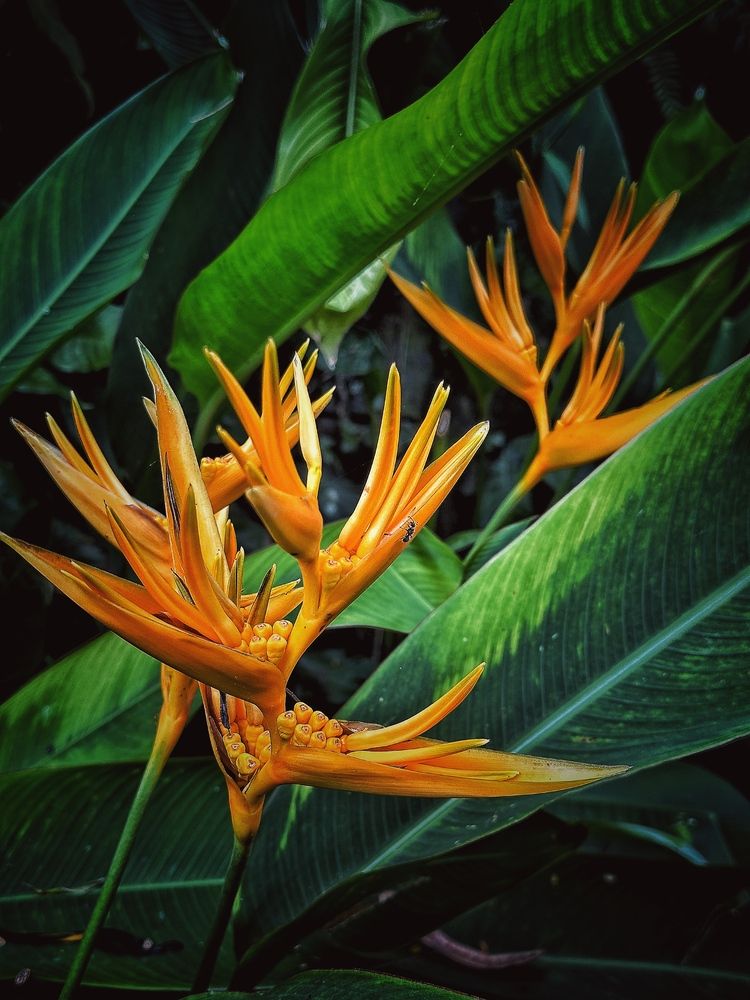 Photograph by Ольга Позняк