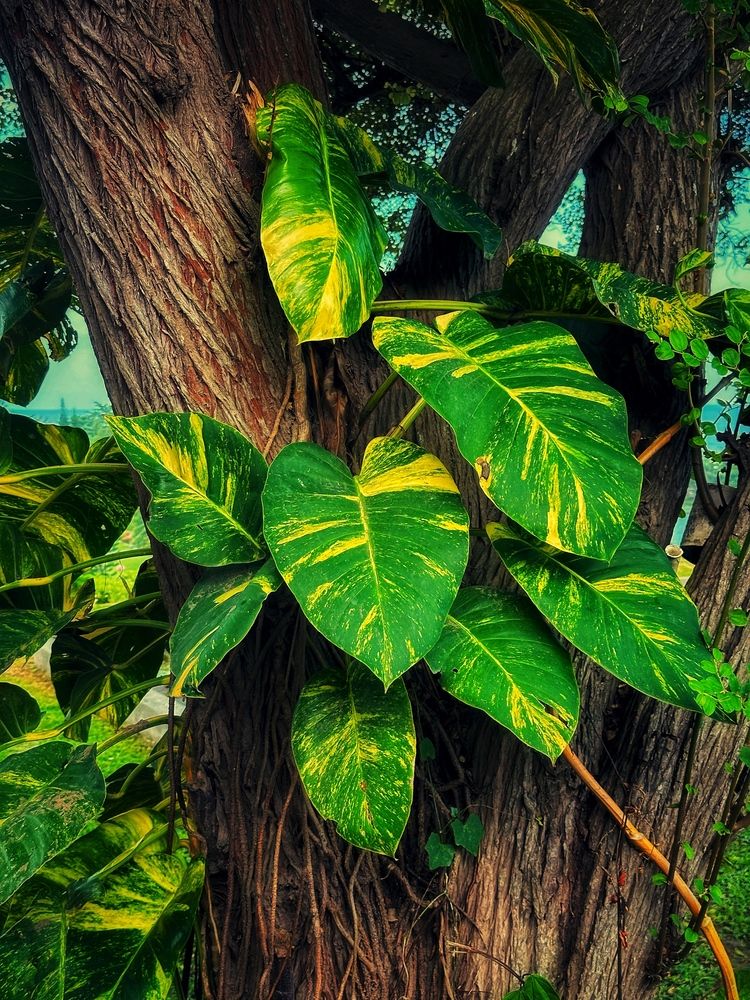 Photograph by Ольга Позняк