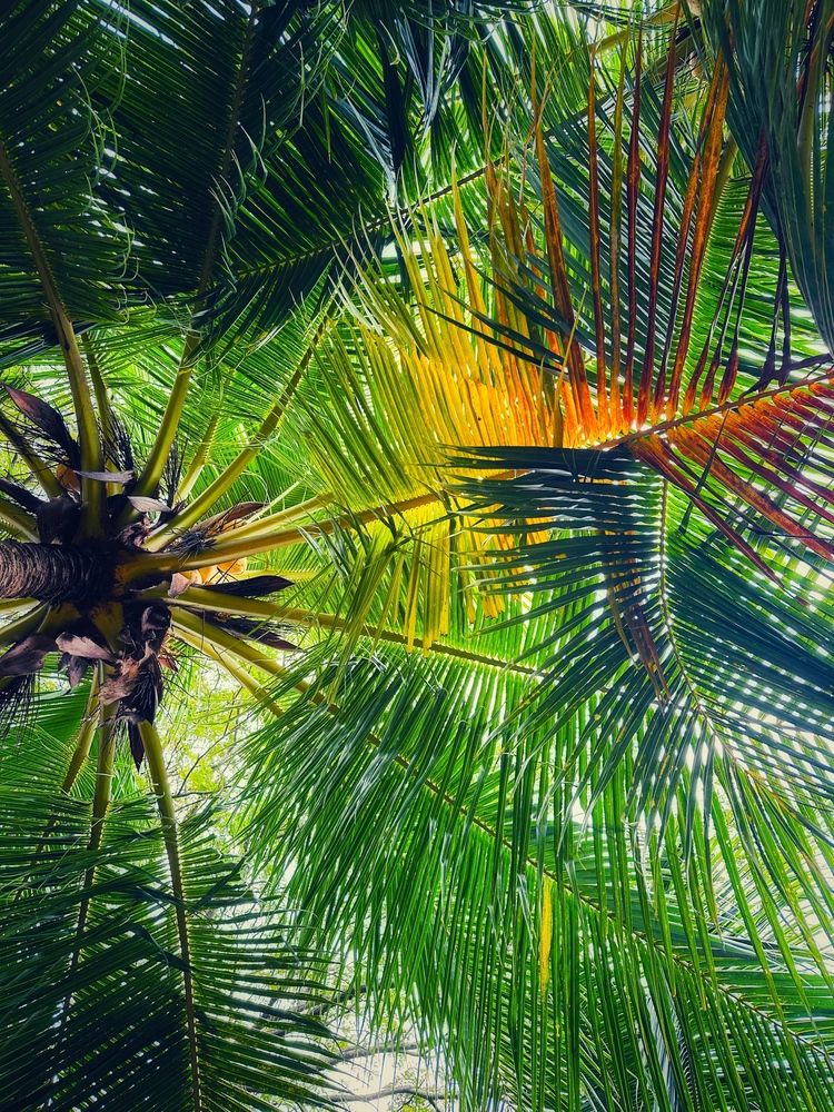 Photograph by Ольга Позняк