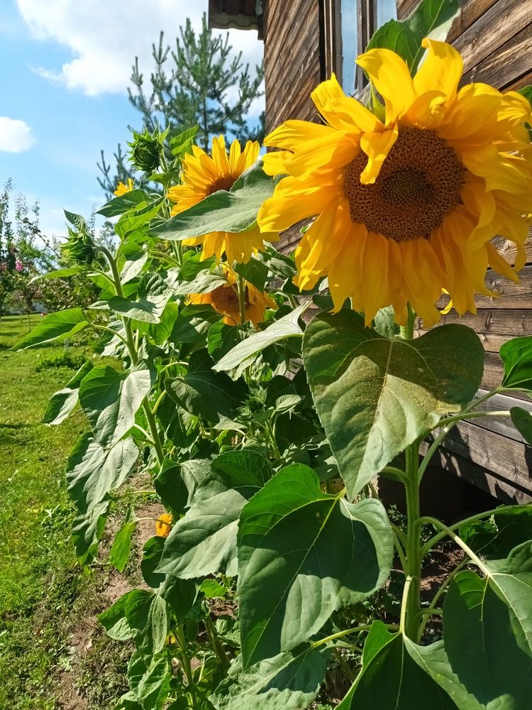 Photograph by Ольга Козлова