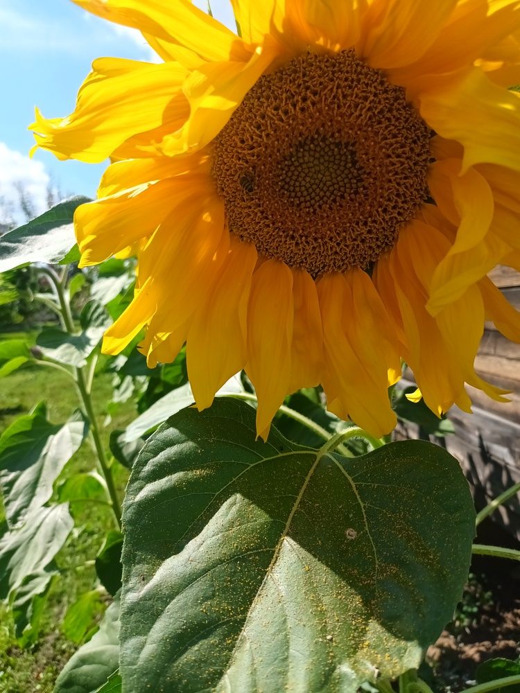 Photograph by Ольга Козлова