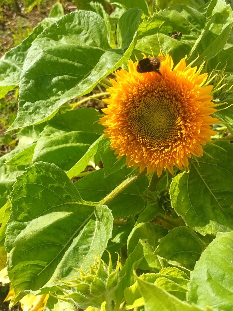 Photograph by Ольга Козлова