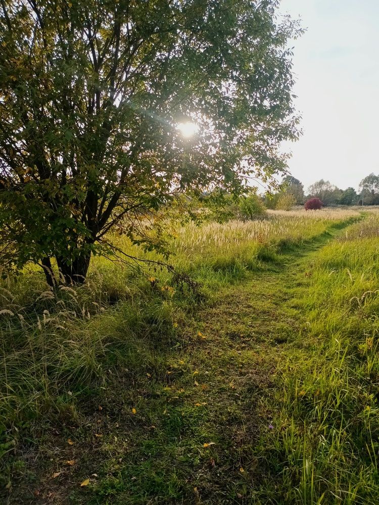 Photograph by Ольга Козлова