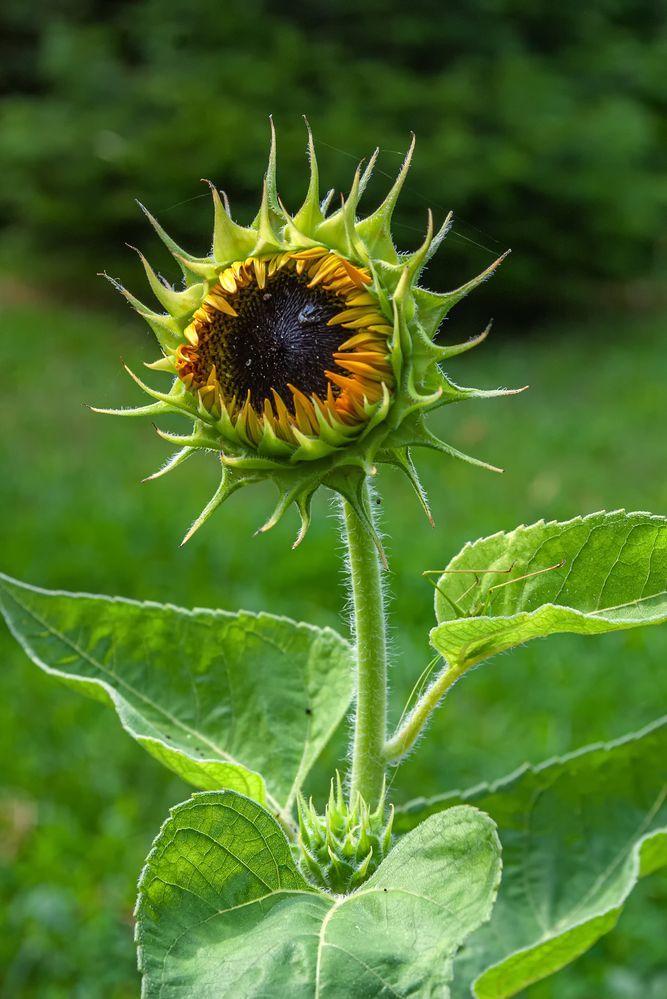 Photograph by Роман Приходько