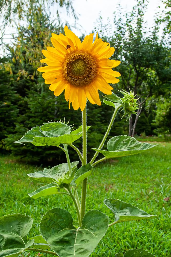 Photograph by Роман Приходько