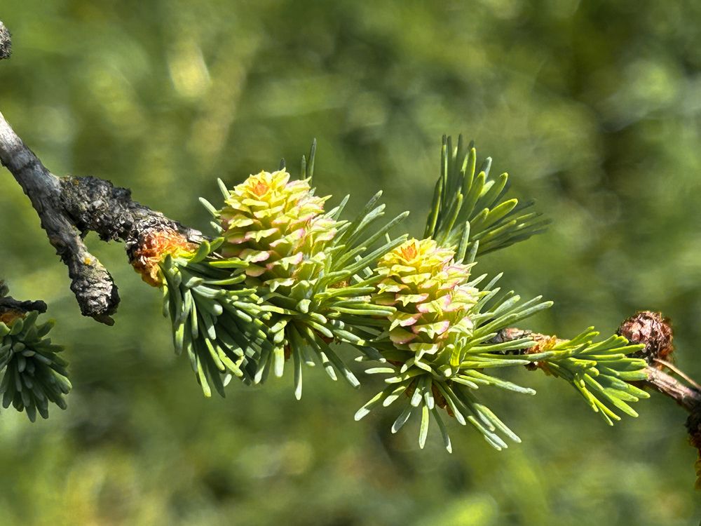 Photograph by Елена Маркова