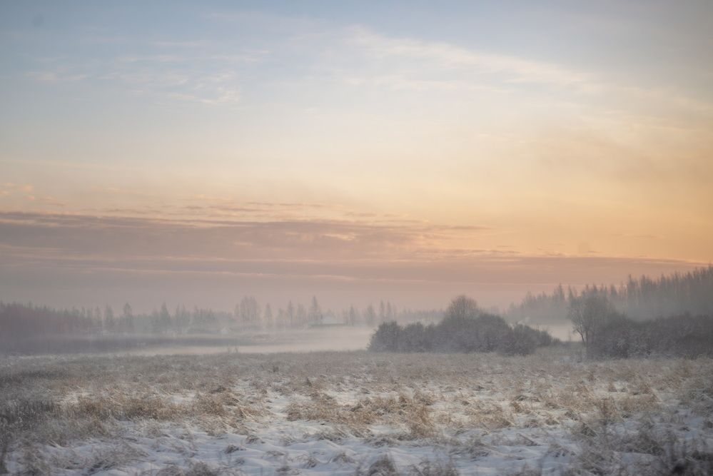 Photograph by Андреев Роман