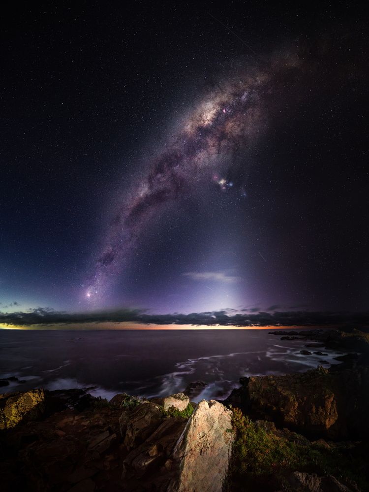 Photograph by Tomas Andonie