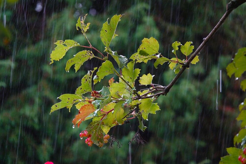 Photograph by Zakharov Matvey