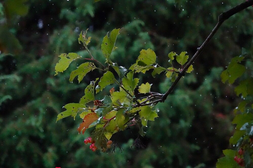 Photograph by Zakharov Matvey