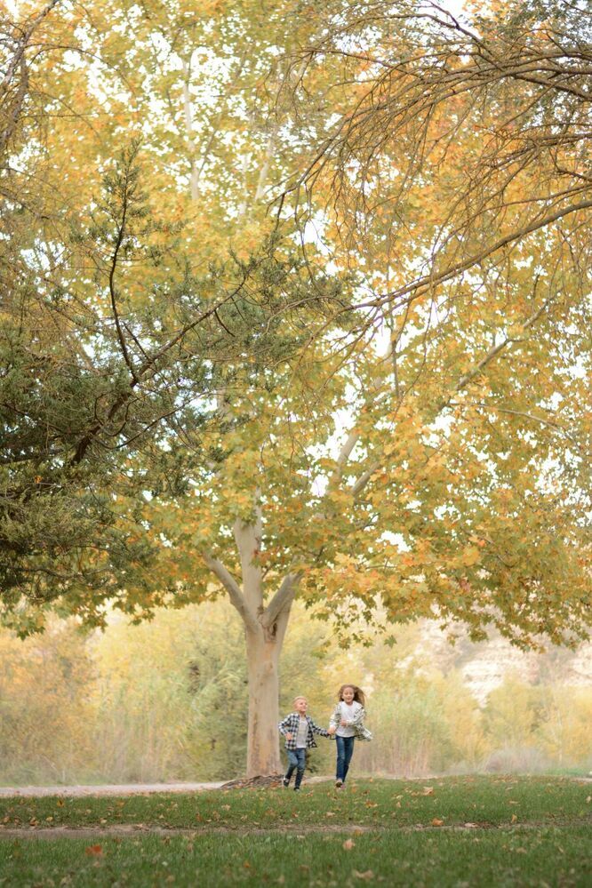 Фотография автора A.Klevina Клёвина