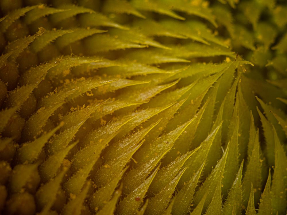 Photograph by Дмитрий Давидов