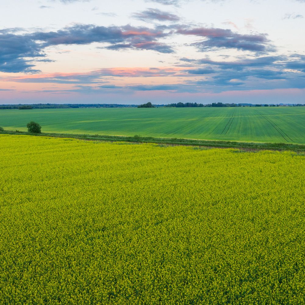 Photograph by Александр Давидик