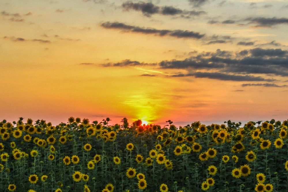 Photograph by Татьяна Конаева